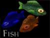 Fish - updated