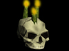 Skull Candles - NEW