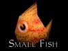 Small Fish